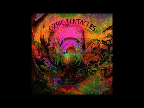Ozric Tentacles live in Leicester 2007