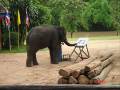 I D Like To Have An Elephant For Christmas