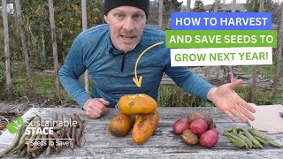 How To Harvest And Save Seeds For Next Year!