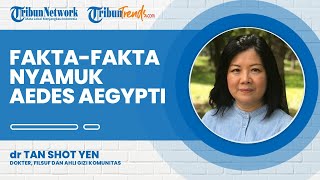 Jadi Penyebab Penyakit Demam Berdarah, Ini Fakta-fakta Nyamuk Aedes Aegypti