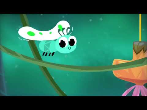 Kumi Kumi   Predator Flower Kumi Mix