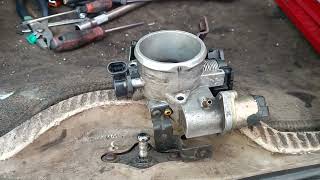 Síntomas del 00518 Great wall