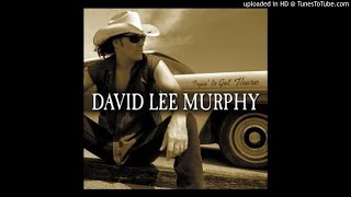 David Lee Murphy - Killin&#39; The Pain - 12