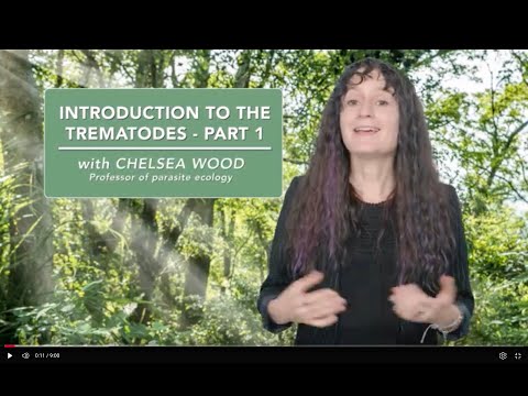 Introduction to the trematodes - Part 1