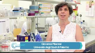  Il ruolo dell’Università degli Studi di Palermo
