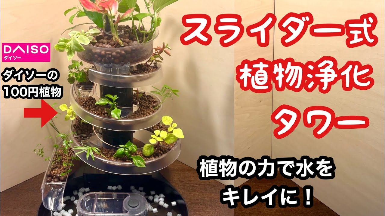 そうめんスライダーが最高の植物浄化装置になりました【アクアリウムDIY】