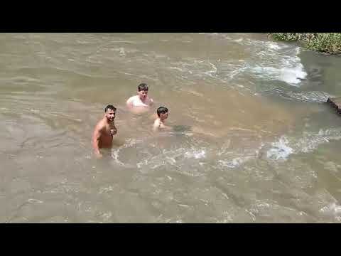 Pesca Raiz no Rio Branco do Ivaí 🎣🌊 | Miltinho da Pesca