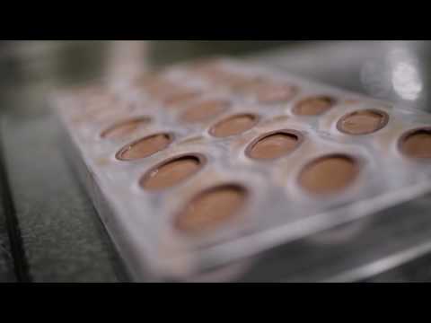 download lagu mp3 mp4 Fat Bloom Definition, download lagu Fat Bloom Definition gratis, unduh video klip Fat Bloom Definition