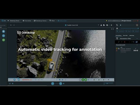 Automatic video tracking for annotation logo