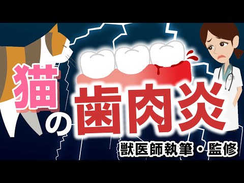 猫の虫歯 - 症状、治療、予防