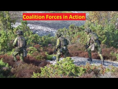 Coalition Forces in Action  German Armed Forces Proficiency Badge competition @ Camp Arifjan, Kuwait