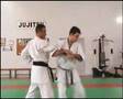 Bunkai Heian Shodan