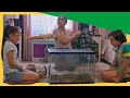 Dex And Kayla S Bluetongue Lizard Adventure Discovering Its Dino Reptile Ancestors DinoKids