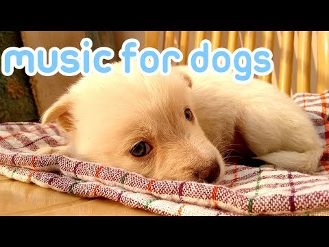 15 Hours of Anti Anxiety Music for Dogs! NEW 2019!