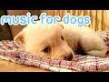 15 Hours of Anti Anxiety Music for Dogs! NEW 2019!
