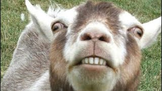 [負雷] 雷神索爾4我到底看了殺小