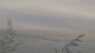 Mark Knopfler Yon Two Crows