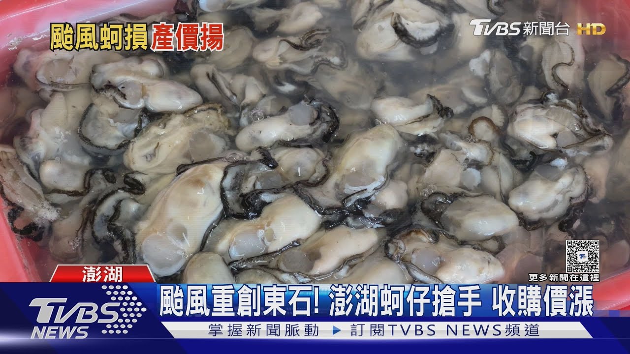颱風丹娜絲襲東石「重創蚵場」 澎湖蚵仔影響低「收購價漲」