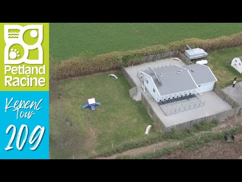 Petland Racine Kennel Tour 209