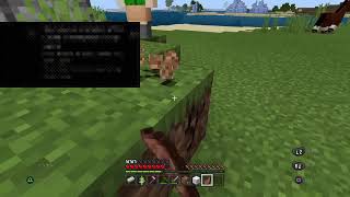 ［マイクラ］誕生日に虚しくいえ作ります　コメントください