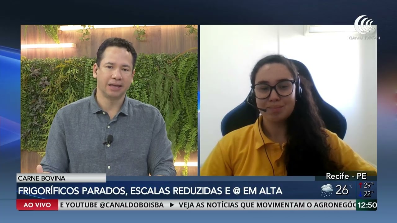 Boi gordo avança, mas mercado deve desacelerar