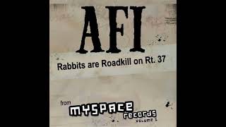 AFI - Rabbits are roadkill on Rt. 37