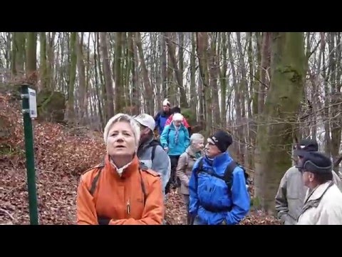 Wandern bei Glattbach  X