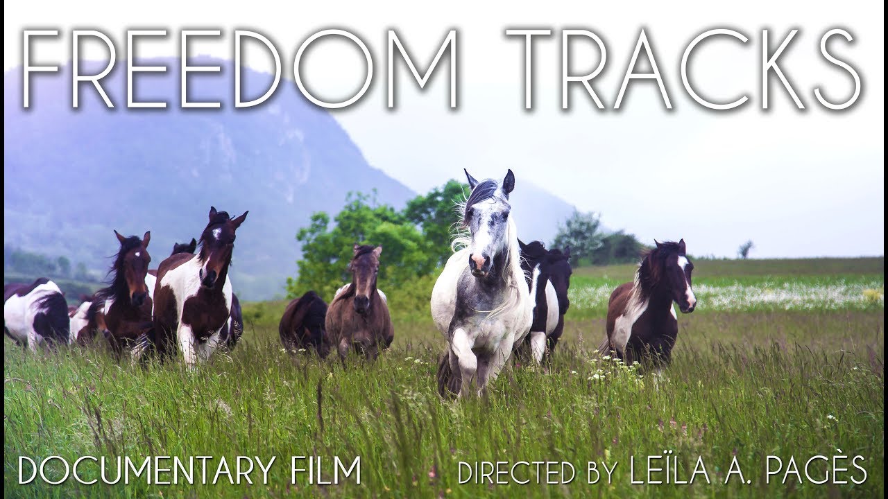 FREEDOM TRACKS (Sans Attache) - Documentary Trailer English Version
