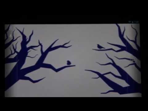 Animated Birds Video