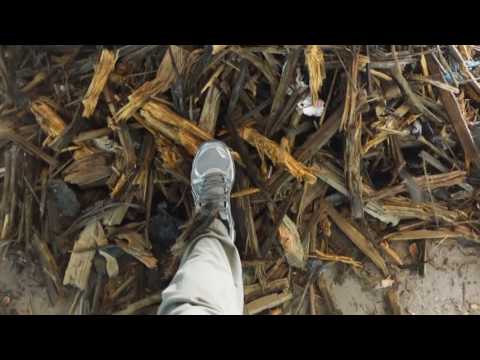 Lindner 95DK shredder processing telephone poles