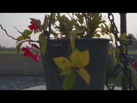 Un’oasi familiare immersa nel verde