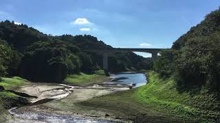 小渕ため池の夏 2020-09-05
