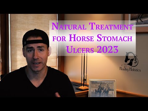 , title : 'Natural Treatment for Horse Stomach Ulcers 2023'