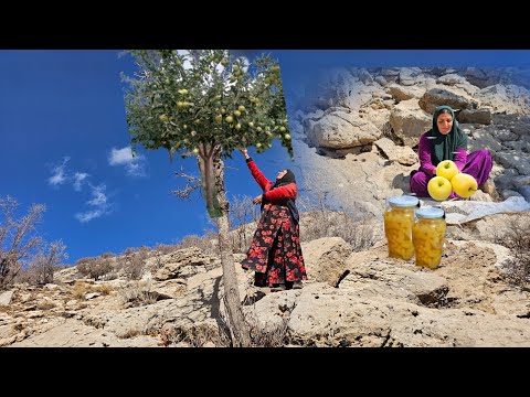 An amazing day at Farideh Adventure Mountain🍎