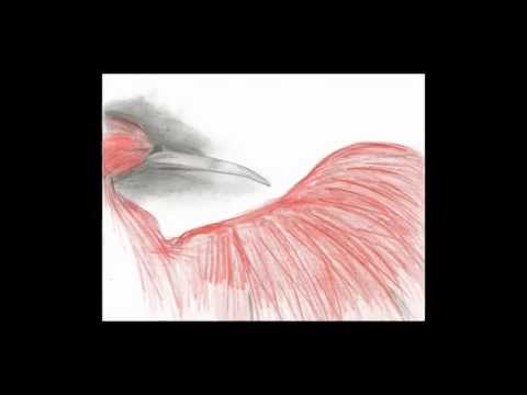 The Scarlet Ibis by James Hurst - Audio Book