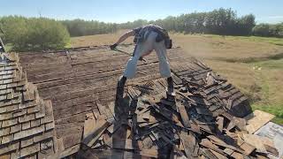 Ripping a barn with wood shingles