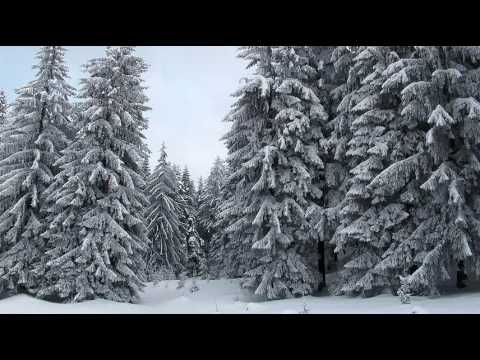 Corul Mira - La Vitleem Colo-n jos