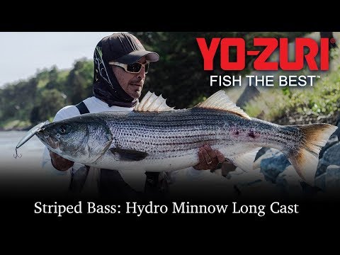 Best Striper L...