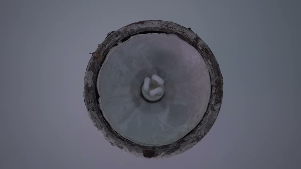 We Wandered Through The Cracks Of The Walls And Were Consumed By The Toilet - TRAILER