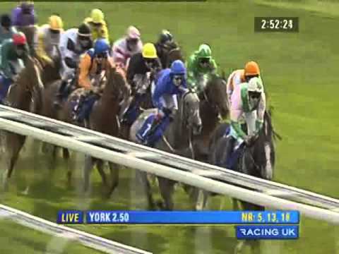York Ebor Festival 2010 - Addleshaw Goddard Stakes