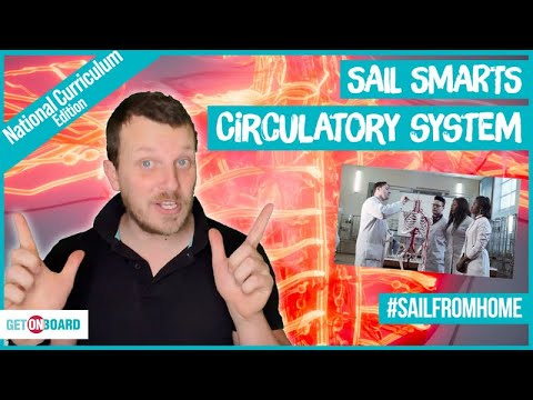 THE CIRCULATORY SYSTEM - SAIL SMARTS -  National Curriculum Edition