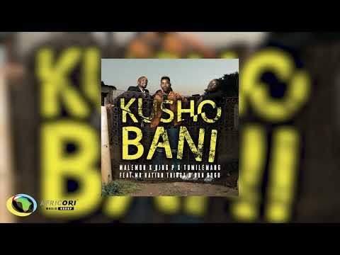 Malemon, Tumilemang & King P - Kusho Bani (feat. DBN Gogo & Mr Nation Thingz) (Official Audio)