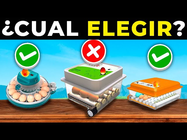 Vídeo relacionado con MUYIRTED Criadora De Pollitos, Incubadora Visual Calentadores, 4 Lámpara de Calor 50W, Comederos Y Bebederos Automáticos, Caja De Cría Para Aves, Pájaros, Reptiles, Codornices, Cachorros Y Gatos