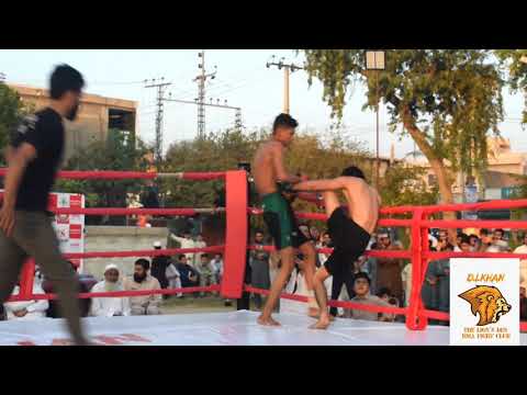 Highlights of 1st Lions fighting championship