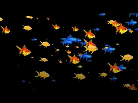 1 Hora De Desenho De Peixinho Cancao De Ninar Musicas Para Bebes Dormir E Relaxar Gato Coins