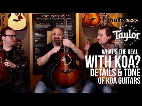 Taylor Guitars Koa Tone Wood Overview: How does Koa sound and open up over time?