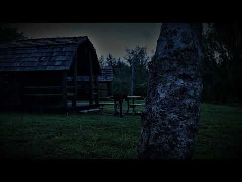 Night Rain in a Cabin - 2 Hours of Crickets, frogs, rain, owls, chimes and Rain Sleep Sounds
