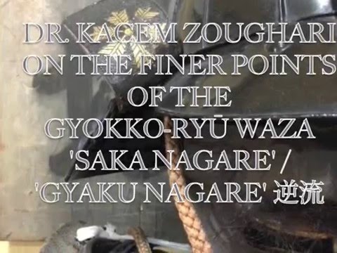 Ninjutsu Dr. Kacem Zoughari - Sakanagare / Gyaku Nagare 逆流
