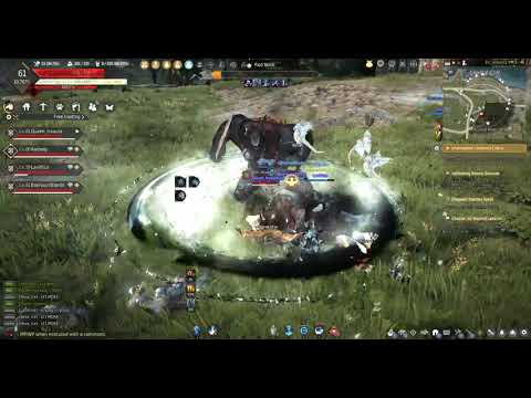 Bdo Borg German Random Dude Vs Rift Echo