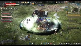 BDO - BORG + German random dude vs Rift Echo